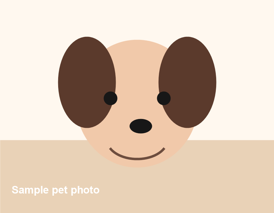 Original pet photo example